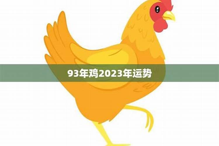 93年的鸡今年运势