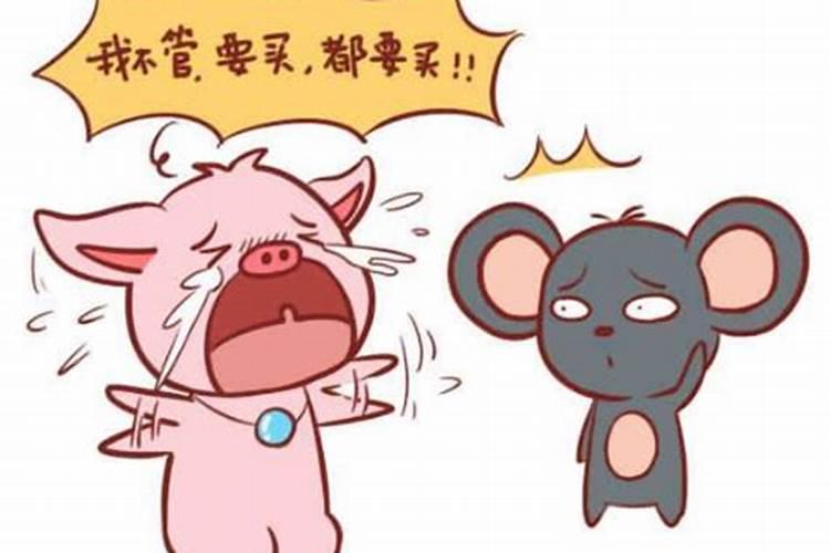 男属猪和女属鼠合婚吗？
