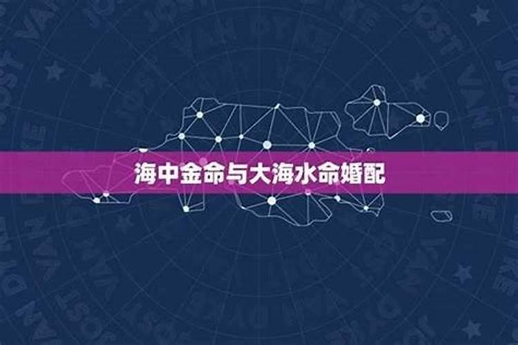大海水和海中金合婚吗？