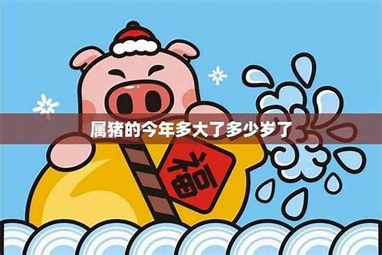 今年7月1985年的运势