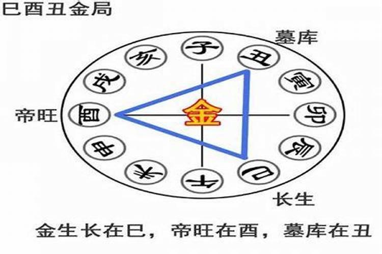 八字巳酉丑合是什么意思？