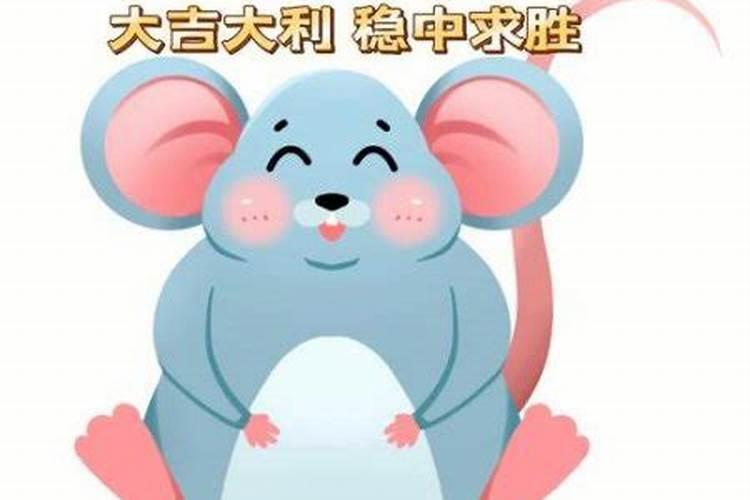 属鼠的怎么化解小人？