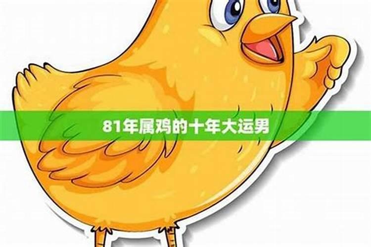 属鸡的男2026年的运势如何？