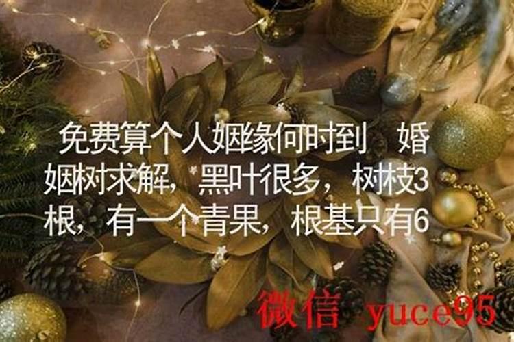 婚姻树怎样算树枝多？