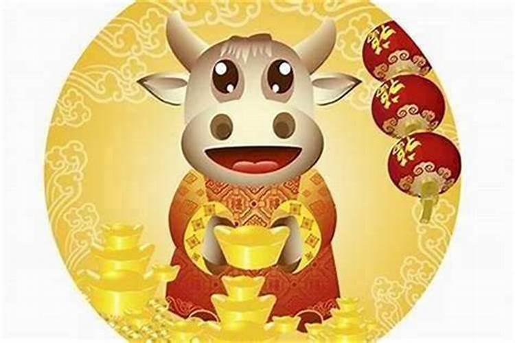 本命年为什么财运不好呢女孩？
