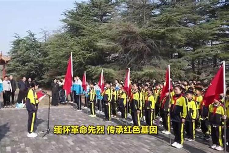 枣庄清明祭扫