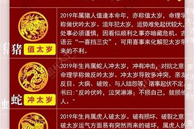 刑太岁该怎么化解1977蛇？
