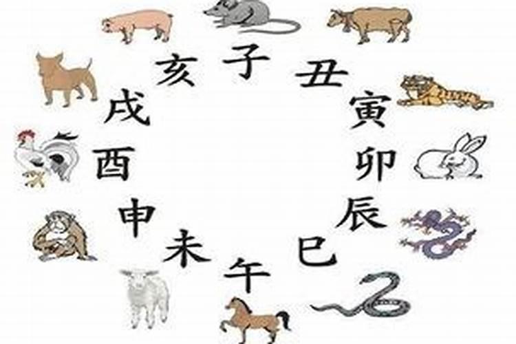 属相狗和鸡婚配怎样？