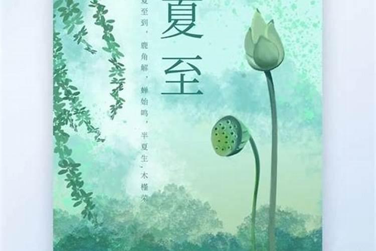 生在夏至的女孩命运