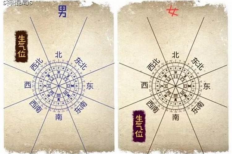 什么风水最好对财运好？
