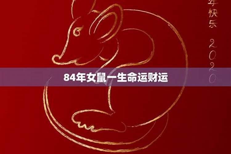 84年鼠女今年运势如何？