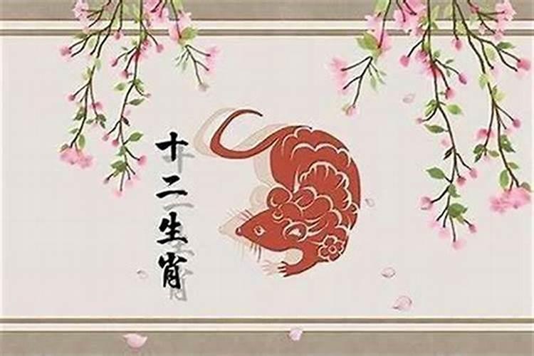 1972属鼠的人2026年运势及运程