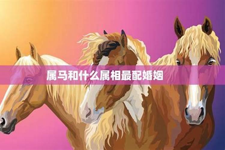属马女和什么属相最配？