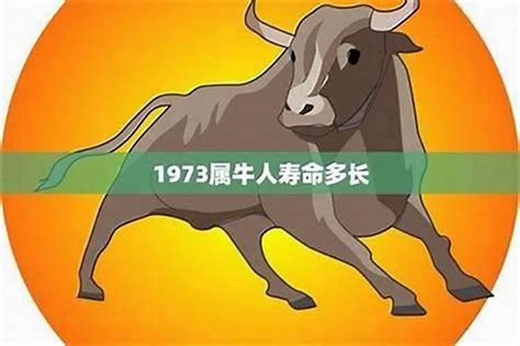 1973年牛女一生运势