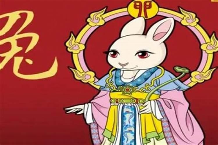 属兔人永远最旺的颜色