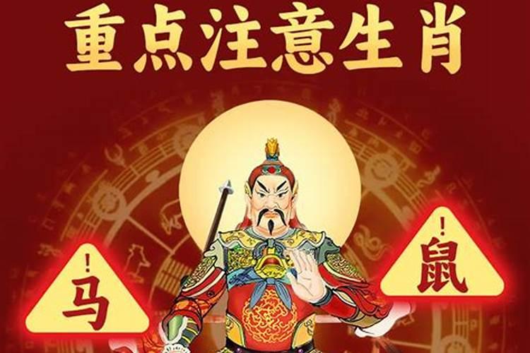 2026年太岁大将军太岁符