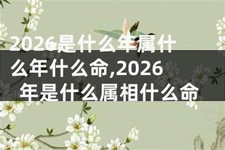2026年是什么命年？
