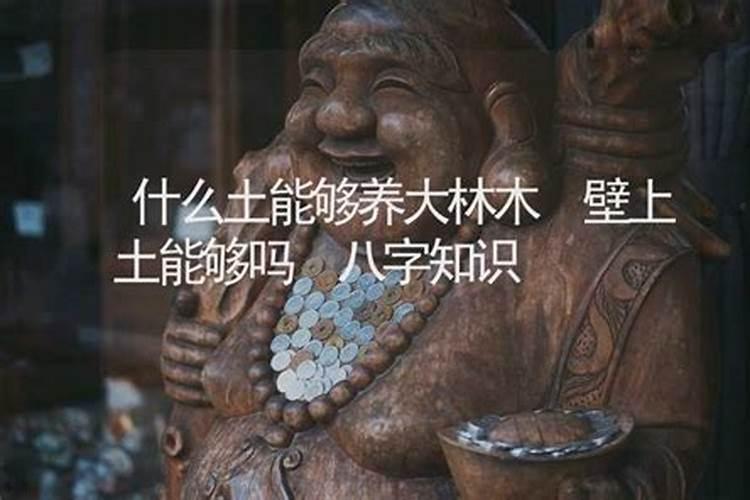 八字土土能合吗？