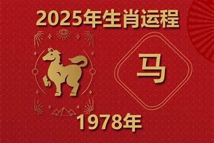 78年属马男一生运势