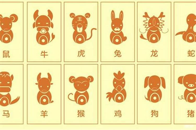 人间美味是什么生肖？