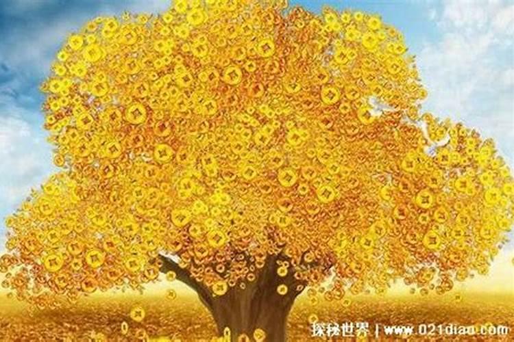 梦见什么是发大财的征兆？