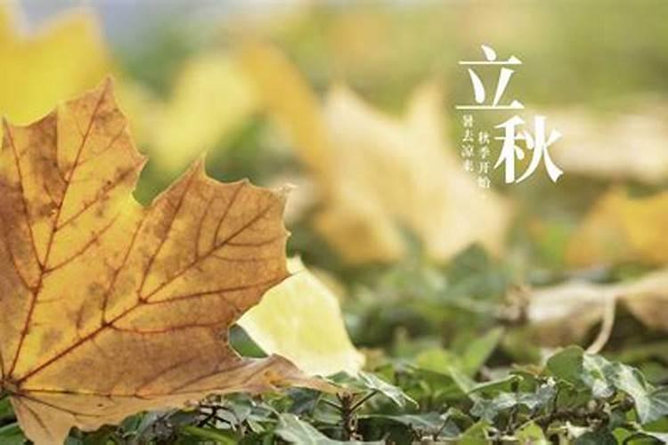 立秋这天的讲究习俗