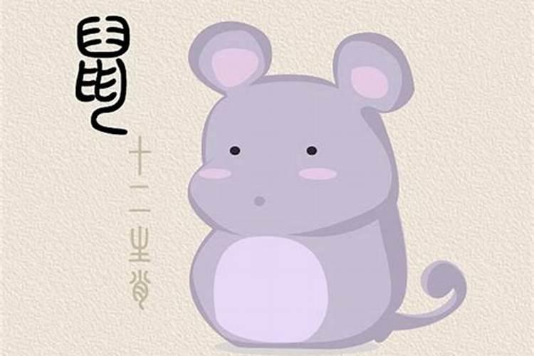 属兔和鼠在一起八字合吗？