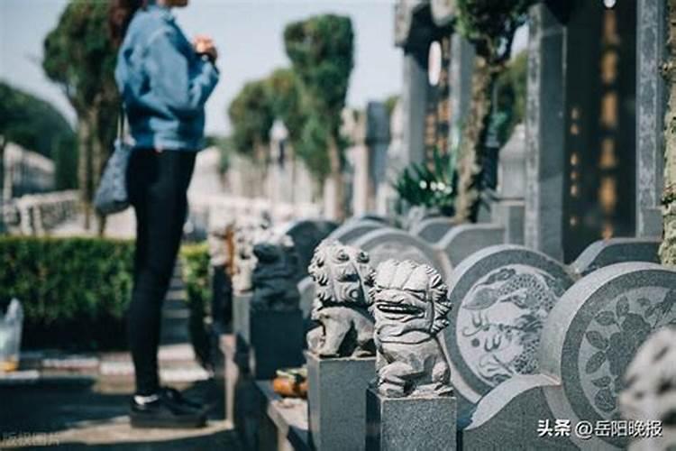 清明节祭祖网站