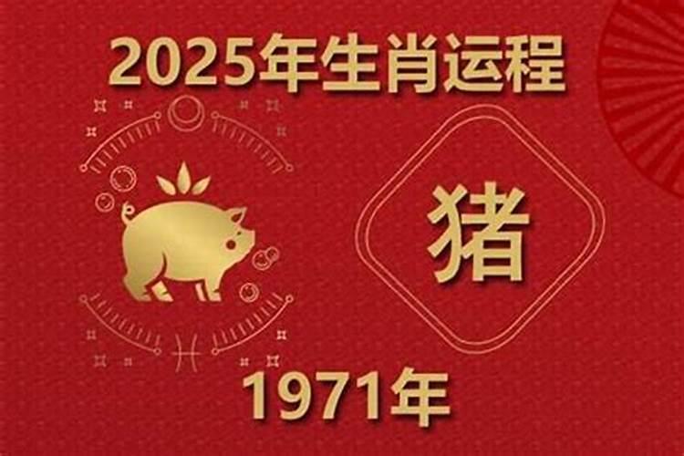 1971年属猪一生运势如何？