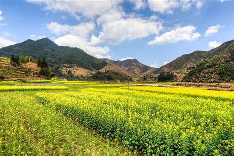 清明节黑龙江去哪里玩比较好？