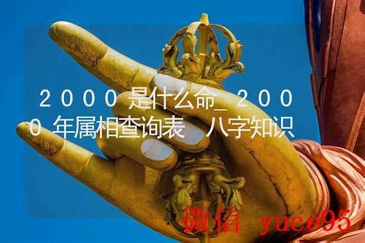 2000八字合什么？