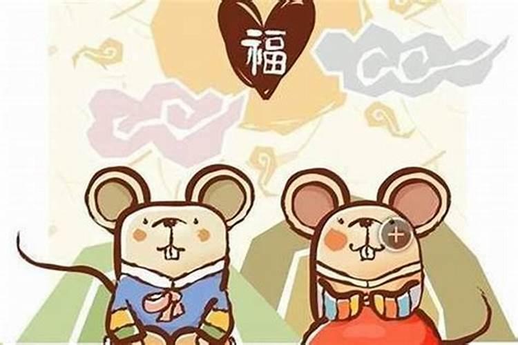 属相婚配鼠与什么相克？