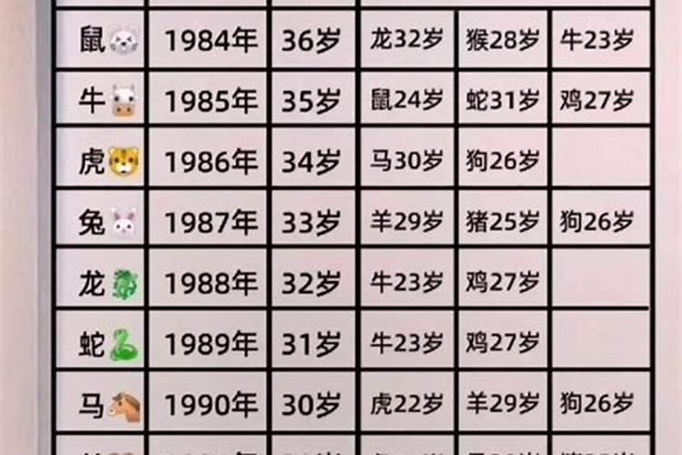 几月属猪的人出生运势？