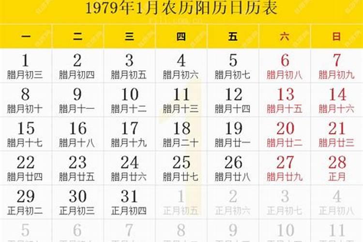 1979年农历10月出生的运程
