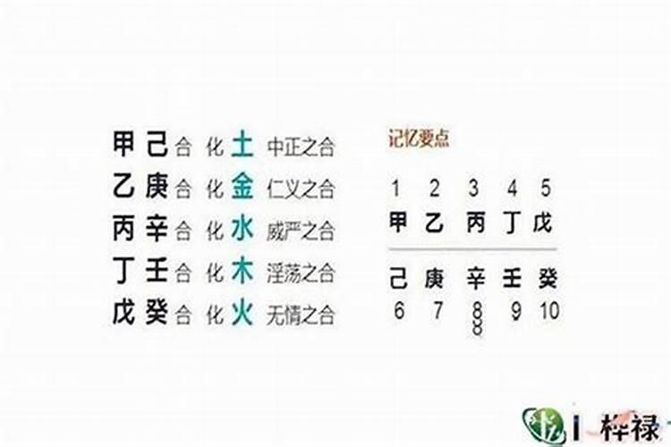 八字争合有哪些八字？