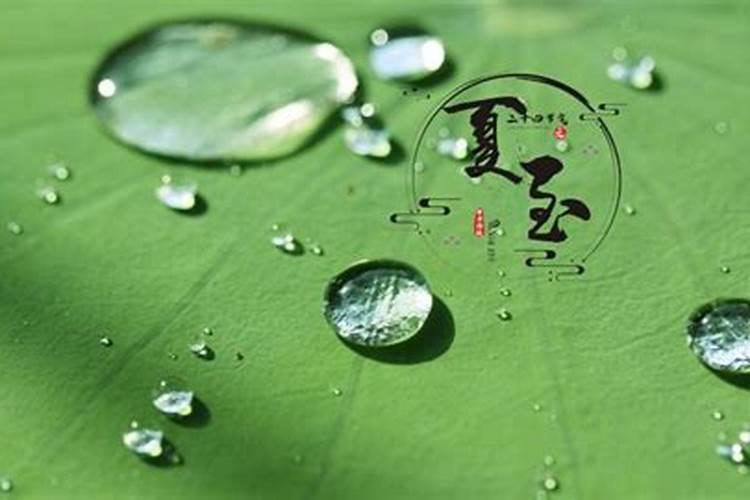 夏至不拿棉是什么意思？
