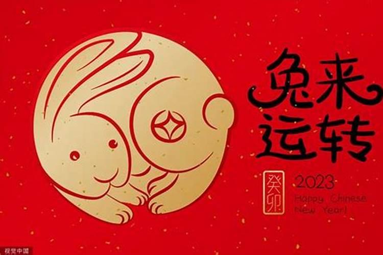 兔子什么时候本命年？