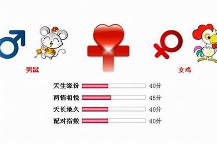 男属鼠和女属虎的合婚吗？