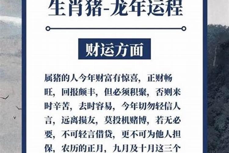 冬至出生的猪宝宝最好