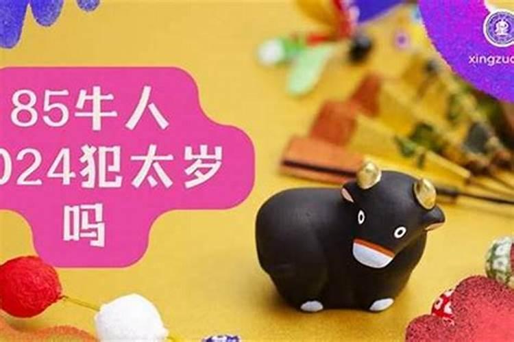85属牛人2026年运势运程