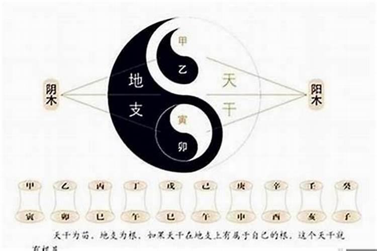 八字基本信息是什么意思？