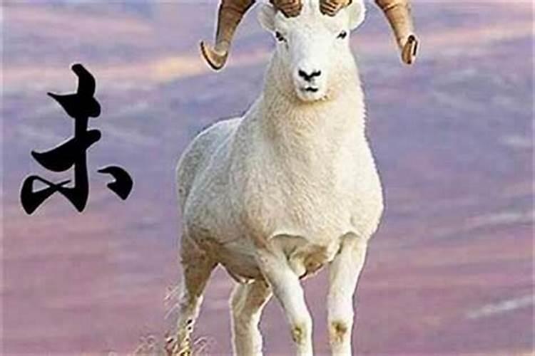 最近属羊的运势如何？