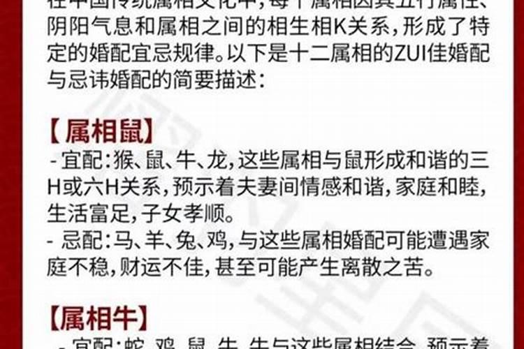 属牛男和属马女合婚吗？