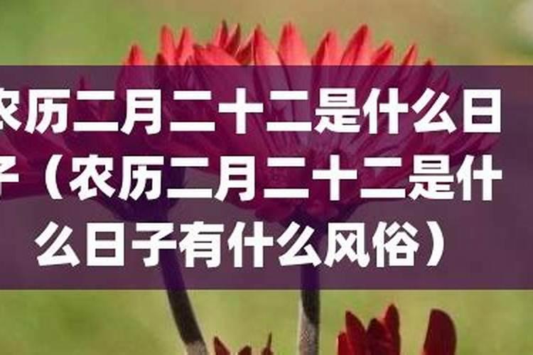 农历二月二十二是什么日子？
