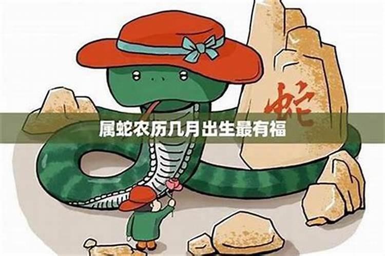 腊月蛇出生好吗？