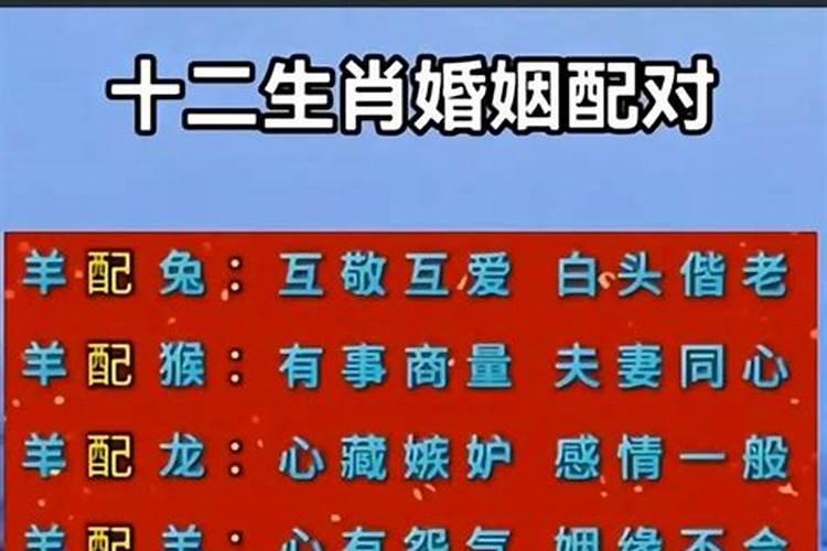 男羊和女狗八字合婚好吗？