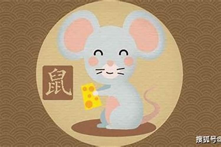 属鼠的人2026年的运程怎么样？