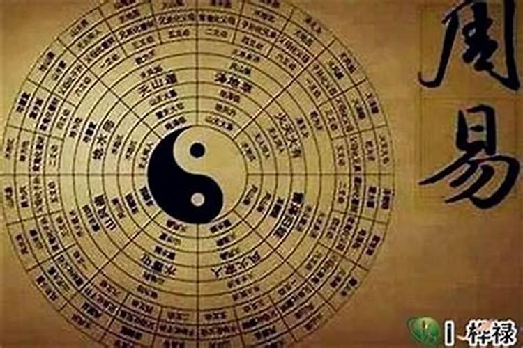四柱八字谁讲得好？