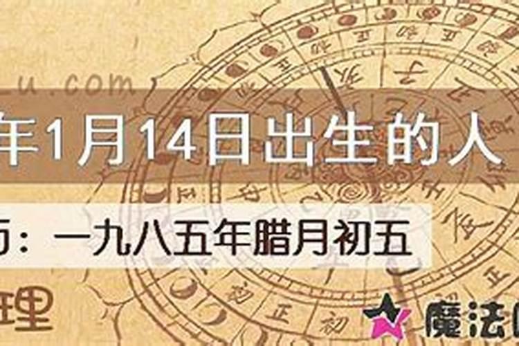 1985年正月初五运势