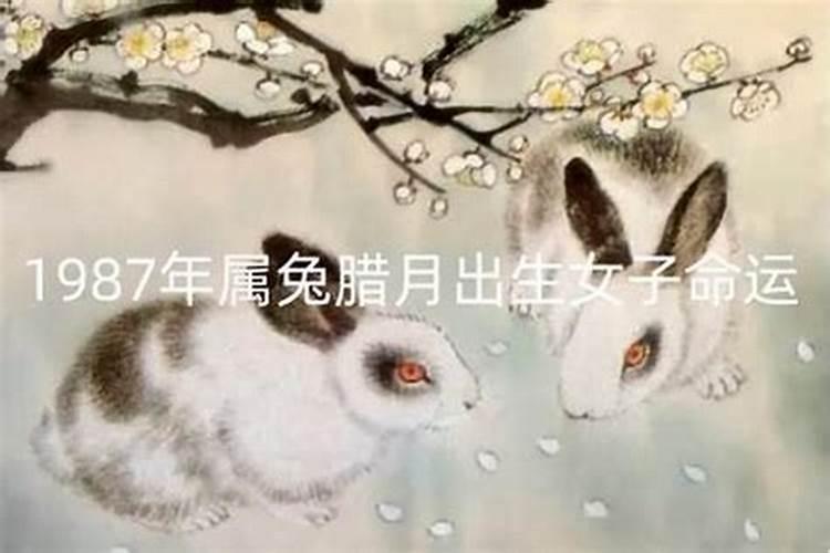 1985年腊月13出生女运程